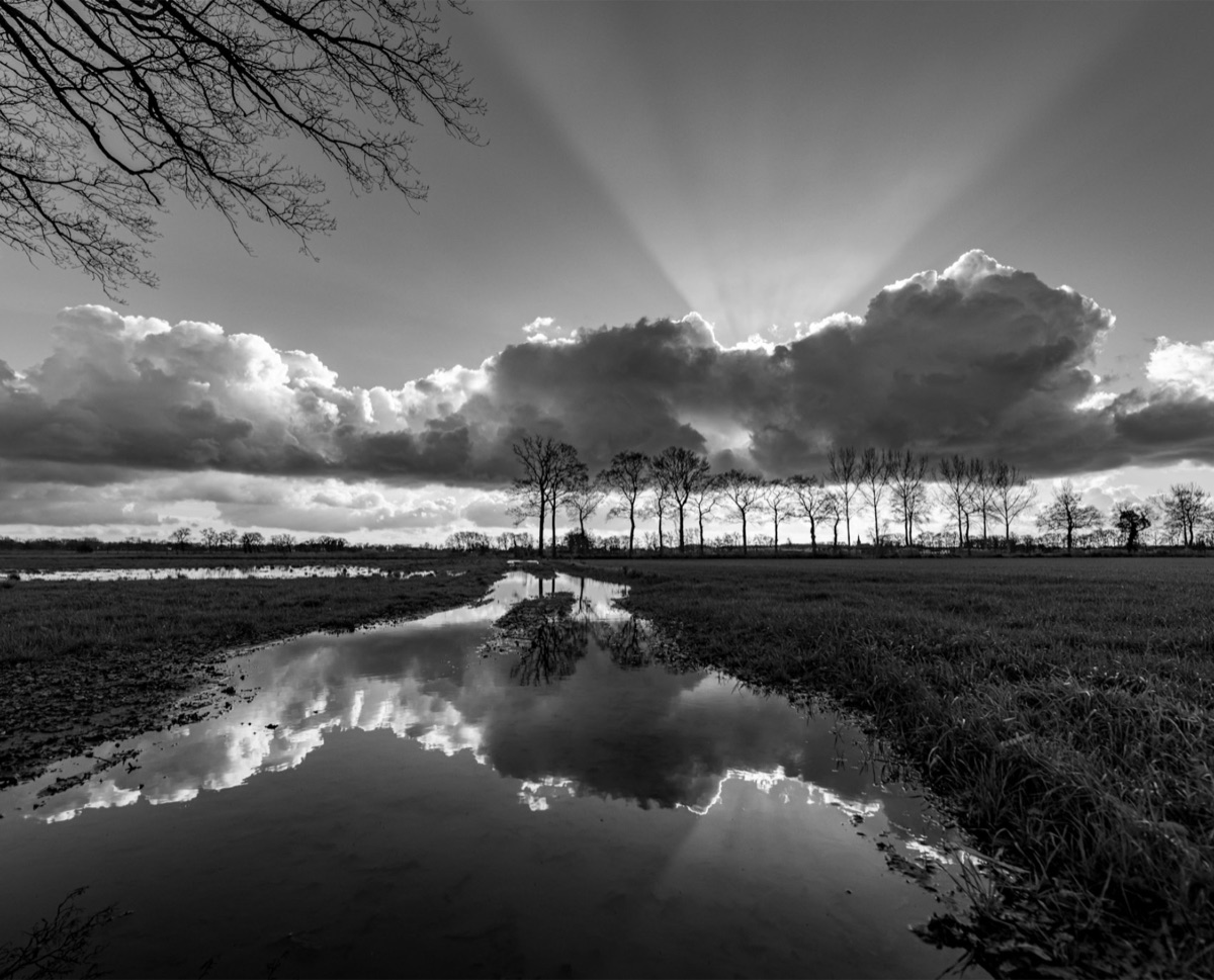 Cloud Mirror, the photograph that covers the panel edge to edge