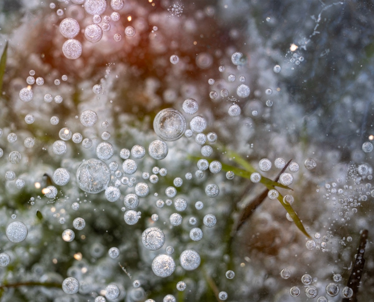Frozen Bubbles, the photograph that covers the panel edge to edge