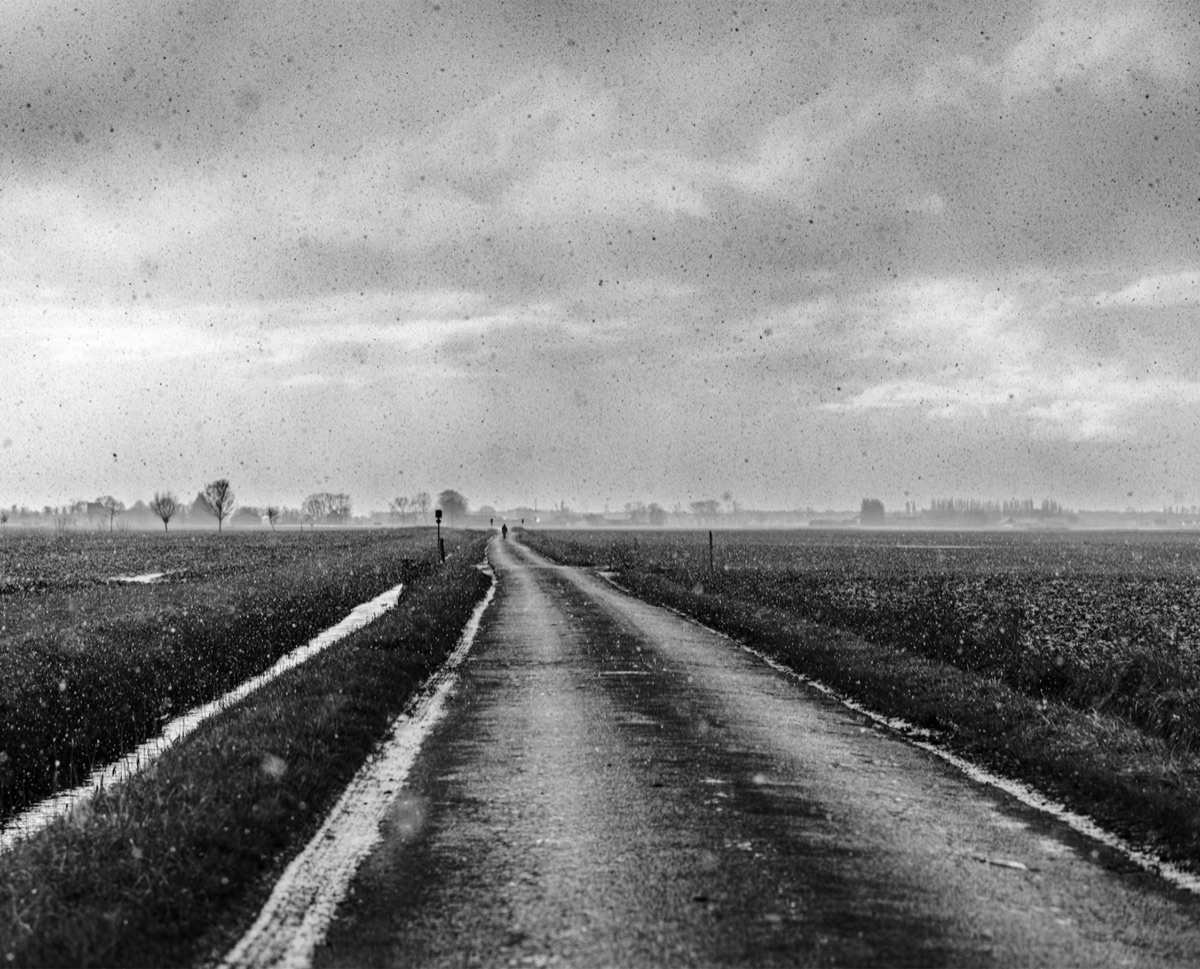The Lonely Road, the photograph that covers the panel edge to edge