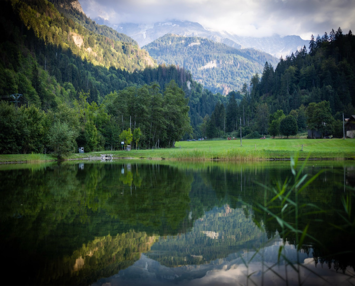 Mountain Lake, the photograph that covers the panel edge to edge