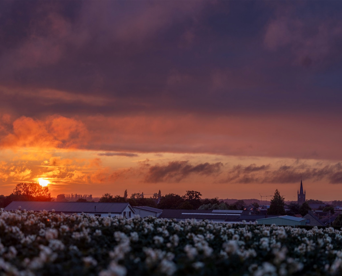 Village Sunset, the photograph that covers the panel edge to edge